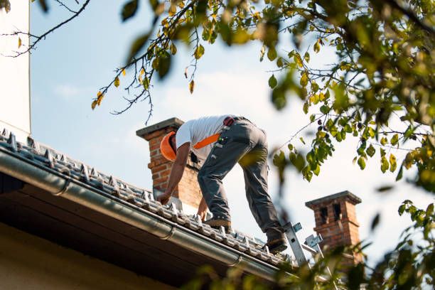 Reliable Normandy Park, WA Roofing Contractor Solutions
